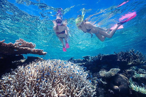 Great Barrier Reef Scenic Helicopter Tour And Cruise From Cairns - Stayed 3