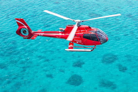 Port Douglas Scenic Flights - Stayed 2