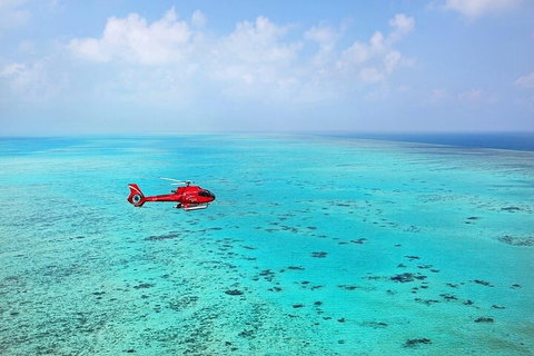 Ultimate Great Barrier Reef And Rainforest 45-minute Helicopter Tour - Stayed 2