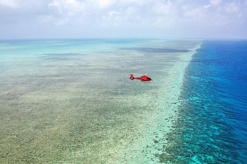 Ultimate Great Barrier Reef And Rainforest 45-minute Helicopter Tour - Stayed 5