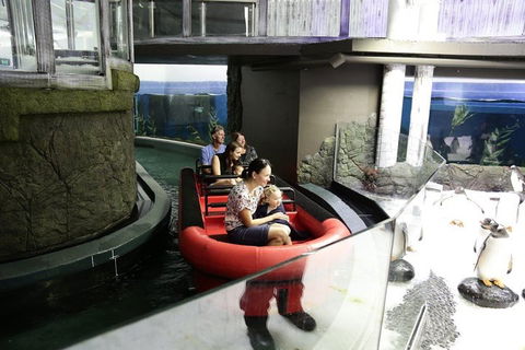 Sydney Attractions Pass: SEA LIFE Aquarium, Sydney Tower Eye, WILD LIFE Zoo And Madame Tussauds - Stayed 0