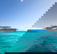 Fremantle to Rottnest Island Roundtrip Ferry Ticket - Stayed