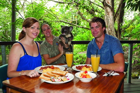 Breakfast With The Koalas At Hartley's Crocodile Park From Cairns Or Palm Cove - Stayed 0
