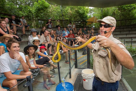 Breakfast With The Koalas At Hartley's Crocodile Park From Cairns Or Palm Cove - Stayed 2