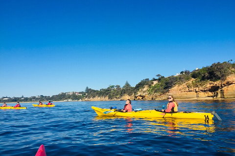 Mornington Peninsula Kayak Coastline Tour Of Dolphin Sanctuary - Stayed 1