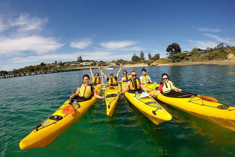 Mornington Peninsula Kayak Coastline Tour Of Dolphin Sanctuary - Stayed 2