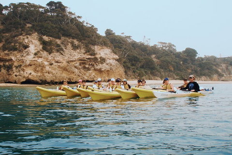 Mornington Peninsula Kayak Coastline Tour Of Dolphin Sanctuary - Stayed 4