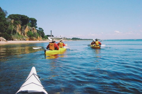 Mornington Peninsula Kayak Coastline Tour Of Dolphin Sanctuary - Stayed 5