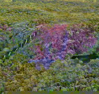 Litchfield Park  Daly River - Scenic Flight From Darwin - Stayed