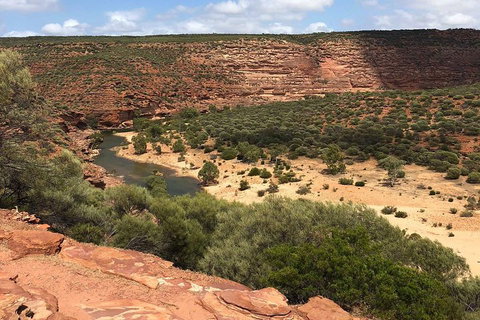 Kalbarri Gorges & West Coast - Ground & Air Tour - Stayed 3