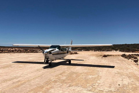 Kalbarri Gorges & West Coast - Ground & Air Tour - Stayed 4