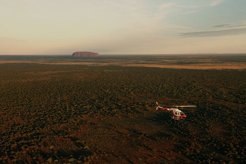 Helicopter Scenic: Lizard Safari - Stayed 4
