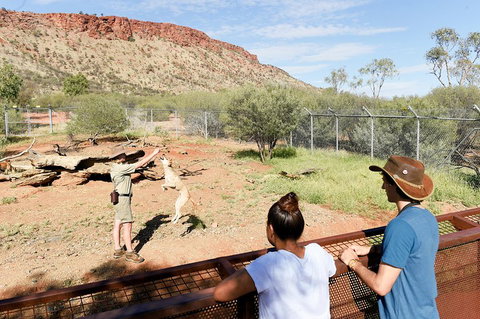 Alice Springs Desert Park General Entry Ticket - Stays Accommodation 4