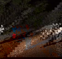 Alice Springs Desert Park Nocturnal Tour - Stayed