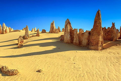 Full-Day Pinnacles Desert And Yanchep National Park Tour From Perth - Stayed 2