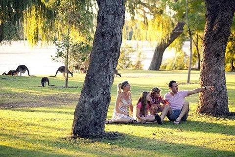 Full-Day Pinnacles Desert And Yanchep National Park Tour From Perth - Stayed 3