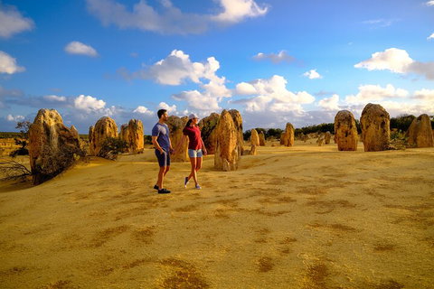 Full-Day Pinnacles Desert And Yanchep National Park Tour From Perth - Stayed 4