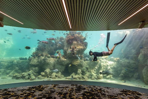 Whitehaven Beach And Daydream Island Cruise - Stayed 4