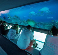 Great Barrier Reef Day Cruise to Reefworld - Stayed