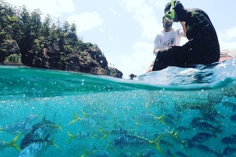 2 Night Small Group Whitsundays Sailing Adventure Aboard Mandrake - Stayed 5