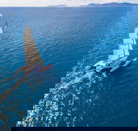 2-Night Whitsunday Islands Sailing Adventure on Trimaran Avatar - Stayed