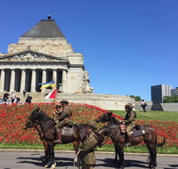 Private Half Day Melbourne City Tour with Local guide - Stayed