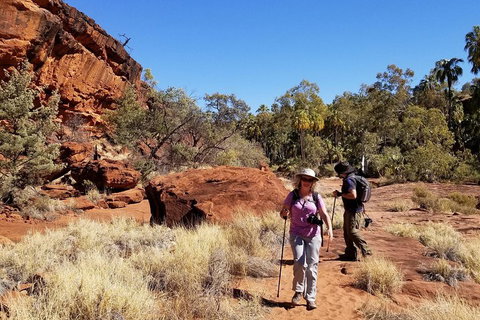 Palm Valley And Hermannsburg 1 Day 4WD Tour - Stayed 1
