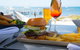 Full Day Tour By Seaplane To Rottnest Island Small Group Trip - thumb 2