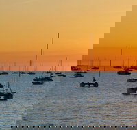 Darwin Shore Excursion Hop-on Hop-off Bus Tour - Stayed