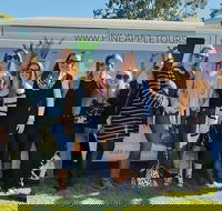 Full Day Mount Tamborine Winery Tour from Gold Coast - Stayed
