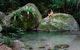 Mossman Gorge Adventure Day - thumb 2