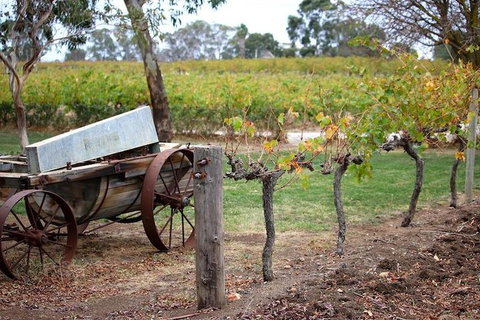 Maggie Beer Farm - Barossa Valley Regional Tour - Stayed 1