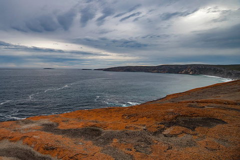 Kangaroo Island Luxury Small Group 'Flinders Chase Focus' Full Day Tour - Stays Accommodation 0