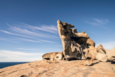 Kangaroo Island Luxury Small Group 'Flinders Chase Focus' Full Day Tour - Stays Accommodation 1