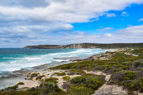 Kangaroo Island Luxury Small Group 'East End Explorer' Full Day Tour - Stays Accommodation 0