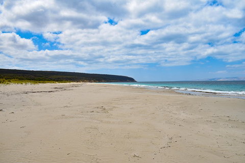 Kangaroo Island Luxury Small Group 'East End Explorer' Full Day Tour - Stays Accommodation 3
