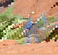 Afternoon Kata Tjuta Small Group Tour - Stayed