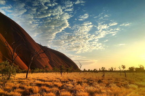 Highlights Of Uluru Including Sunrise And Breakfast - Stays Accommodation 0
