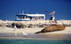 Dolphin, Penguin And Sea Lion Cruise - thumb 1
