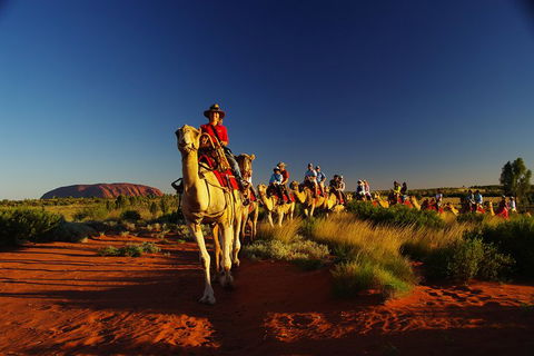 Uluru Small-Group Tour By Camel At Sunrise Or Sunset - Stays Accommodation 1