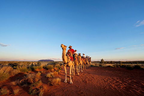 Uluru Small-Group Tour By Camel At Sunrise Or Sunset - Stays Accommodation 3