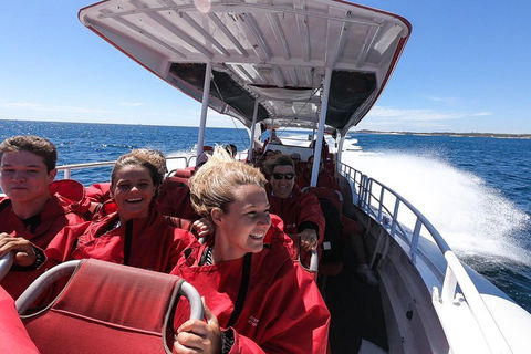 Adventure Rottnest Tour With Ferry & Adventure Cruise From Perth Or Fremantle - Stayed 0