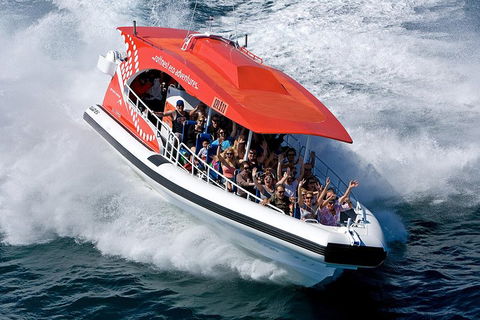 Adventure Rottnest Tour With Ferry & Adventure Cruise From Perth Or Fremantle - Stayed 2