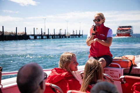 Adventure Rottnest Tour With Ferry & Adventure Cruise From Perth Or Fremantle - Stayed 4