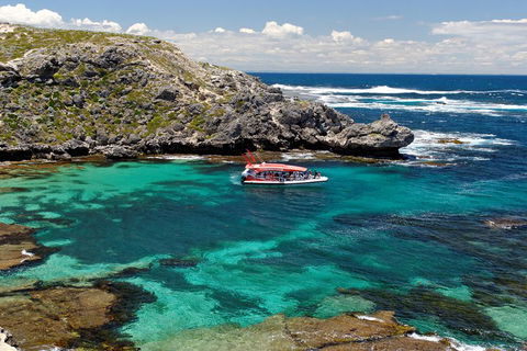 Adventure Rottnest Tour With Ferry & Adventure Cruise From Perth Or Fremantle - Stayed 5