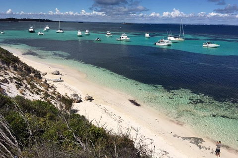 Experience Rottnest With Ferry & Bike Hire From Perth Or Fremantle - Stayed 0