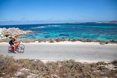 Experience Rottnest With Ferry & Bike Hire From Perth Or Fremantle - Stayed 2