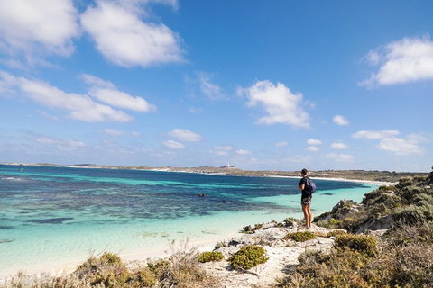 Experience Rottnest With Ferry & Bike Hire From Perth Or Fremantle - Stayed 3