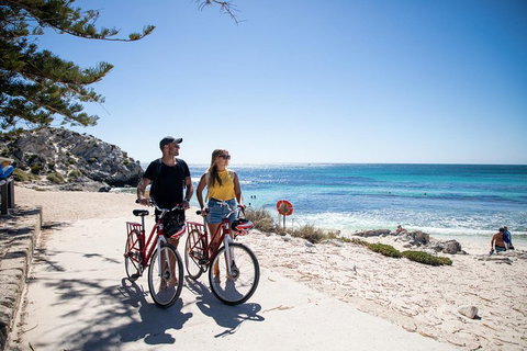 Experience Rottnest With Ferry & Bike Hire From Perth Or Fremantle - Stayed 4