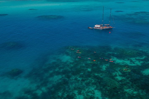 Ocean Free Green Island & Great Barrier Reef Snorkel Cruise, Cairns 25 Guests - Stayed 5